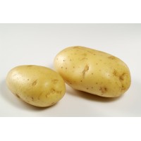 New Potato