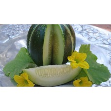 Ogden Melon
