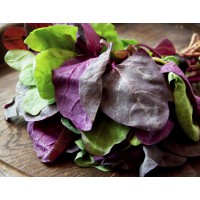 Orach