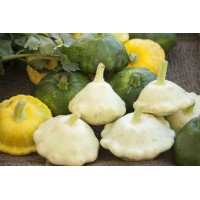 Pattypan Squash