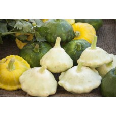 Pattypan Squash