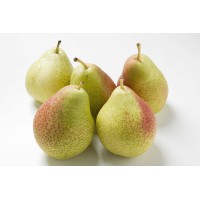Pear