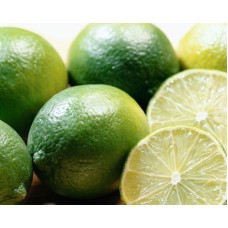 Persian Lime