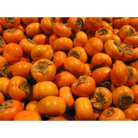 Persimmon