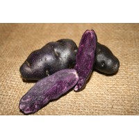 Peruvian Purple Potato