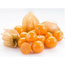 Physalis