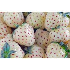Pineberry