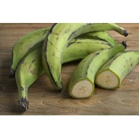 Plantain