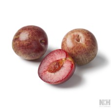 Pluot