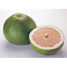Pomelo