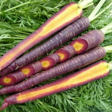 Purple Carrot