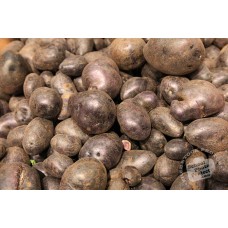 Purple Potato