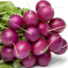 Purple Radish
