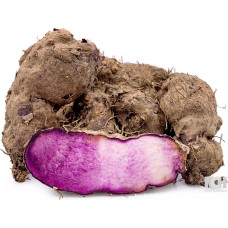 Purple Yam