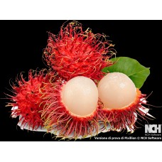 Rambutan