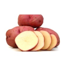 Red Bliss Potato