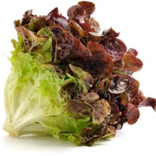 Red Leaf Lettuce