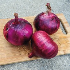 Red Wing Onion