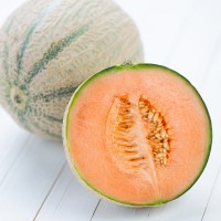 Rockmelon