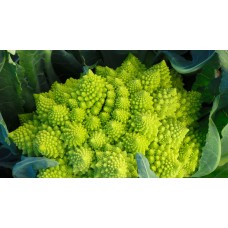 Romanesco