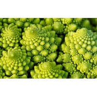 Romanesco Broccoli