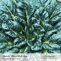 Rosette Bok Choy