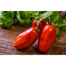 San Marzano Tomato