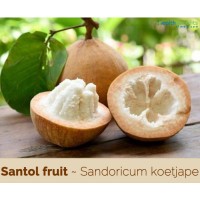 Santol