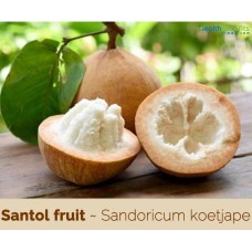 Santol