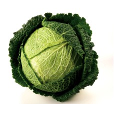 Savoy Cabbage