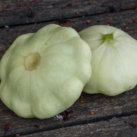 Scallop Squash