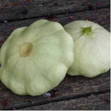 Scallop Squash