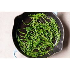 Sea Asparagus