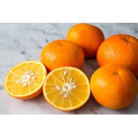 Seville Orange