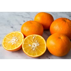 Seville Orange