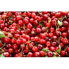 Sour Cherry
