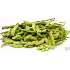 Soybean