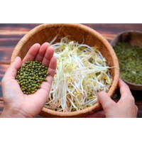 Sprouted Beans and Seeds