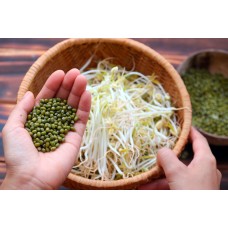 Sprouted Beans and Seeds