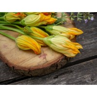 Squash Blossoms