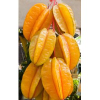 Starfruit