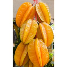 Starfruit
