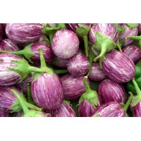 Striped Eggplant