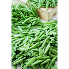 Sugar Snap Peas