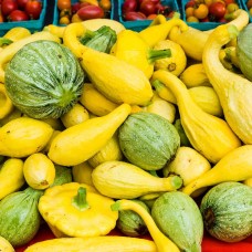 Summer Squash
