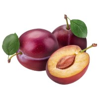Sunda Plum