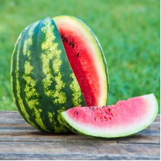 Sweet Dakota Rose Watermelon