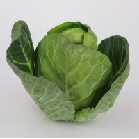 Sweetheart Cabbage