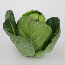 Sweetheart Cabbage