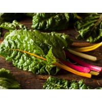 Swiss Chard